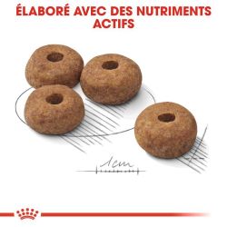 Royal Canin Medium Sterilised
