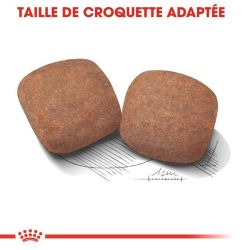 Royal Canin Giant Adult