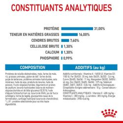 Royal Canin Giant Junior