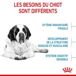 Royal Canin Giant Junior