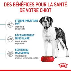 Royal Canin Giant Junior