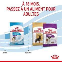 Royal Canin Giant Puppy