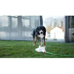 FONTAINE PEDALE POUR CHIEN