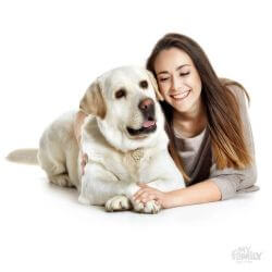 Médaille Friends Labrador Creme