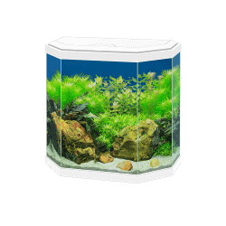 AQUA 30 LED BLANC EUR