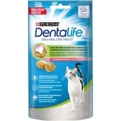 DENTALIFE Chat Friandises Saumon 40g