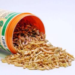 GAMMARUS 1LT JBL