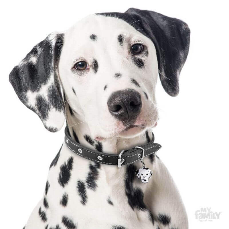 Médaille Friends Dalmatien Médaille Friends Dalmatien