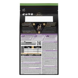 PRO PLAN Sterilised Kitten HEALTHY START Saumon 1,5kg