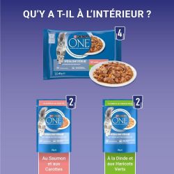 PURINA ONE Chat Stérilisé Saumon Dinde 4x85g