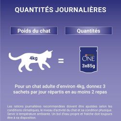 PURINA ONE Chat Stérilisé Saumon Dinde 4x85g