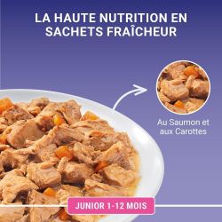 PURINA ONE Chat Kitten 4x85g