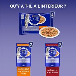 PURINA ONE Chat Adulte Poulet Bœuf 4x85g