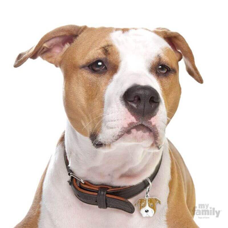 Médaille Friends Amstaff Médaille Friends Amstaff