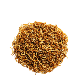 Menu Nature Vers de farine 300g