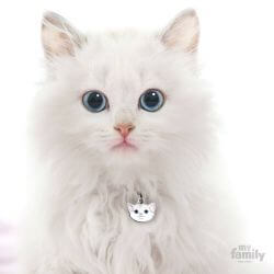 Médaille Friends Chat Blanc