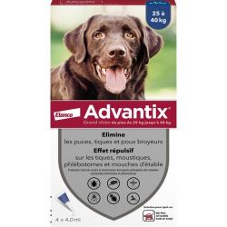 ADVANTIX GRAND CHIEN 4 PIPETTES