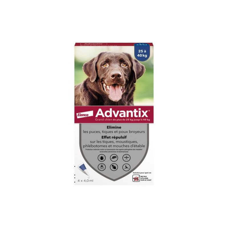 ADVANTIX GRAND CHIEN 4 PIPETTES ADVANTIX GRAND CHIEN 4 PIPETTES