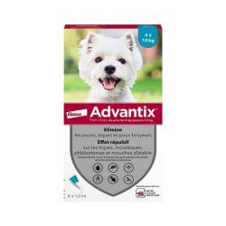 ADVANTIX PETIT CHIEN 6 PIPETTES