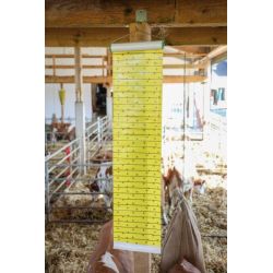 ROULEAU ATTRAPE MOUCHE 9M 30 CM