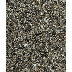 Graines de tournesol 12,5Kg