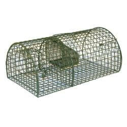 NASSE A RAT ALIVE MUTLIRAT 40 X 24 X 18 CM