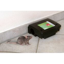BOITE D'APPATS POUR SOURIS 12.5/9.5/4.5CM