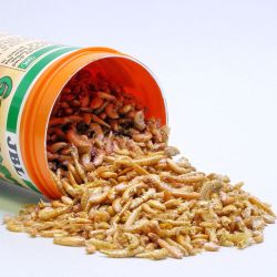 GAMMARUS 250ML JBL