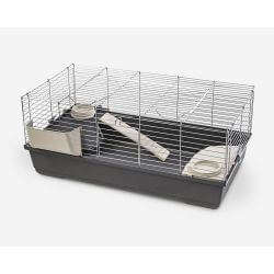 Cage Baldo 100 VIP