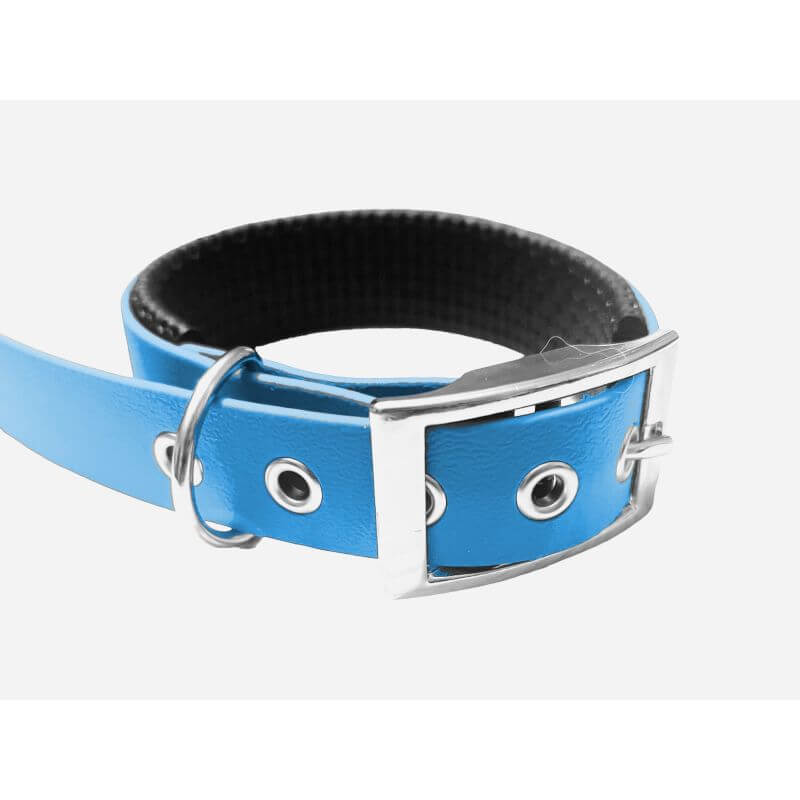 Collier pour Chien rembourré bleu en matière BioThane®, Largeur 25mm , taille M