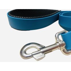 Laisse pour Chien bleue...