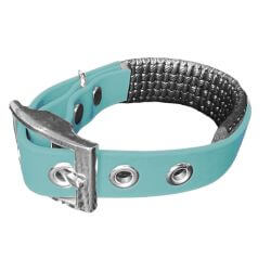 Collier pour Chien Teal en...