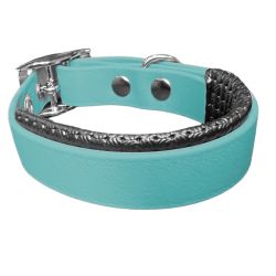 Collier pour Chien Teal en matière BioThane®, Largeur 19mm , taille XXS