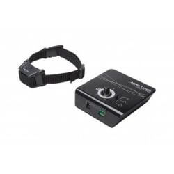 Set Canifugue 1 chien