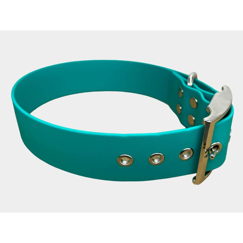 Collier pour Chien Teal en matière BioThane®, Largeur 38mm , taille S