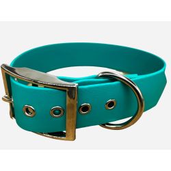 Collier pour Chien Teal en matière BioThane®, Largeur 38mm , taille S