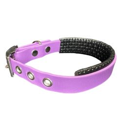 Collier pour Chien...