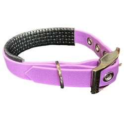 Collier pour Chien Améthyste en matière BioThane®, Largeur 19mm , taille XXS