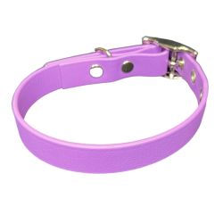 Collier pour Chien...