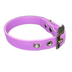Collier pour Chien Améthyste en matière BioThane®, Largeur 19mm , taille XS
