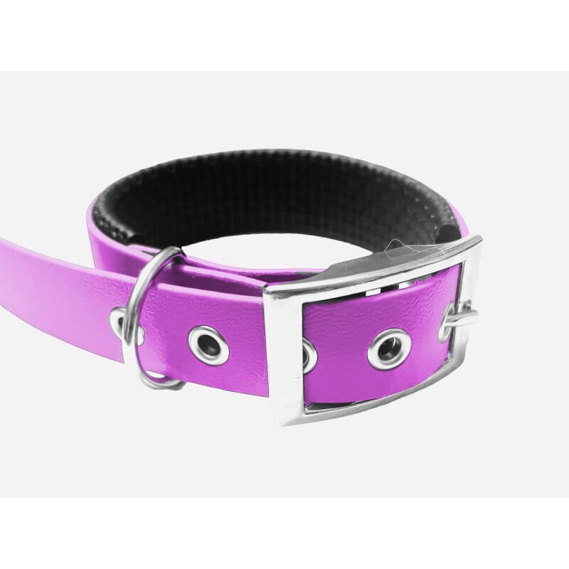 Collier pour Chien rembourré Améthyste en matière BioThane®, Largeur 25mm , taille XL