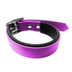 Collier pour Chien rembourré Améthyste en matière BioThane®, Largeur 25mm , taille XL
