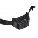 Set Canifugue 1 chien