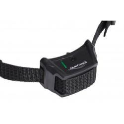Set Canifugue 1 chien