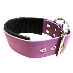Collier pour Chien rembourré Améthyste en matière BioThane®, Largeur 38mm , taille S