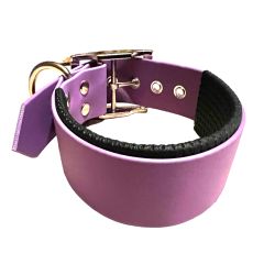 Collier pour Chien rembourré Améthyste en matière BioThane®, Largeur 38mm , taille S