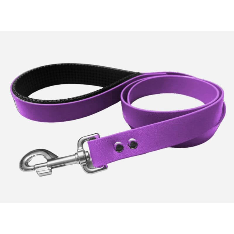 Laisse BioThane pour Chien avec poignée rembourrée Largeur 25mm