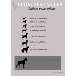 Laisse BioThane pour Chien avec poignée rembourrée Largeur 25mm