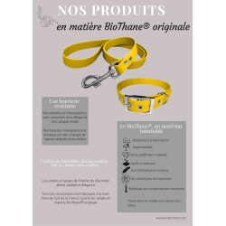 Laisse BioThane pour Chien avec poignée rembourrée Largeur 25mm