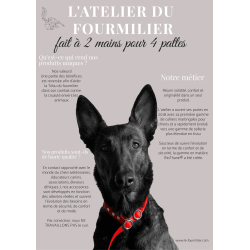 Laisse BioThane pour Chien avec poignée rembourrée Largeur 25mm
